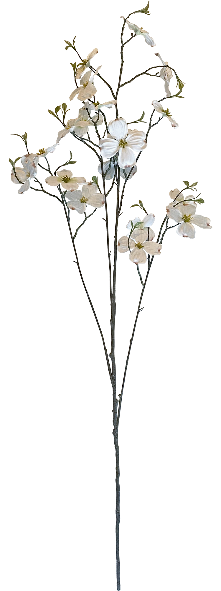 Konstblommor.